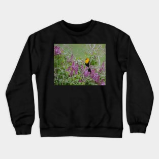 Yellow Head Blackbird and Lilacs Crewneck Sweatshirt
